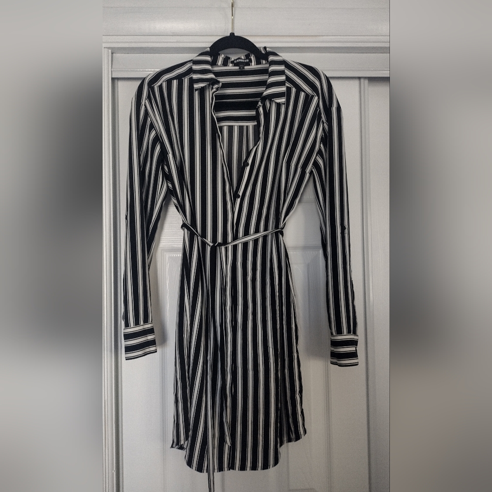 Express Shirt Dress